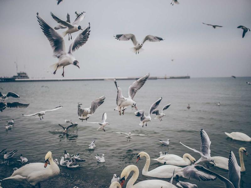 sudoku retro theme screenshot 6